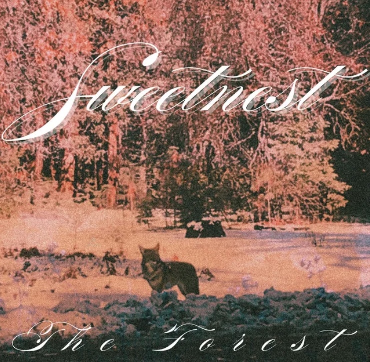 63. Single Review of The Forest by&nbsp;Sweetnest