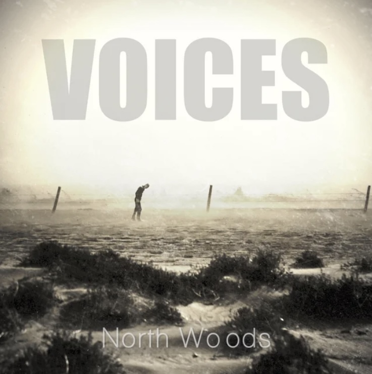 67. Single Review of The Voices by North&nbsp;Woods