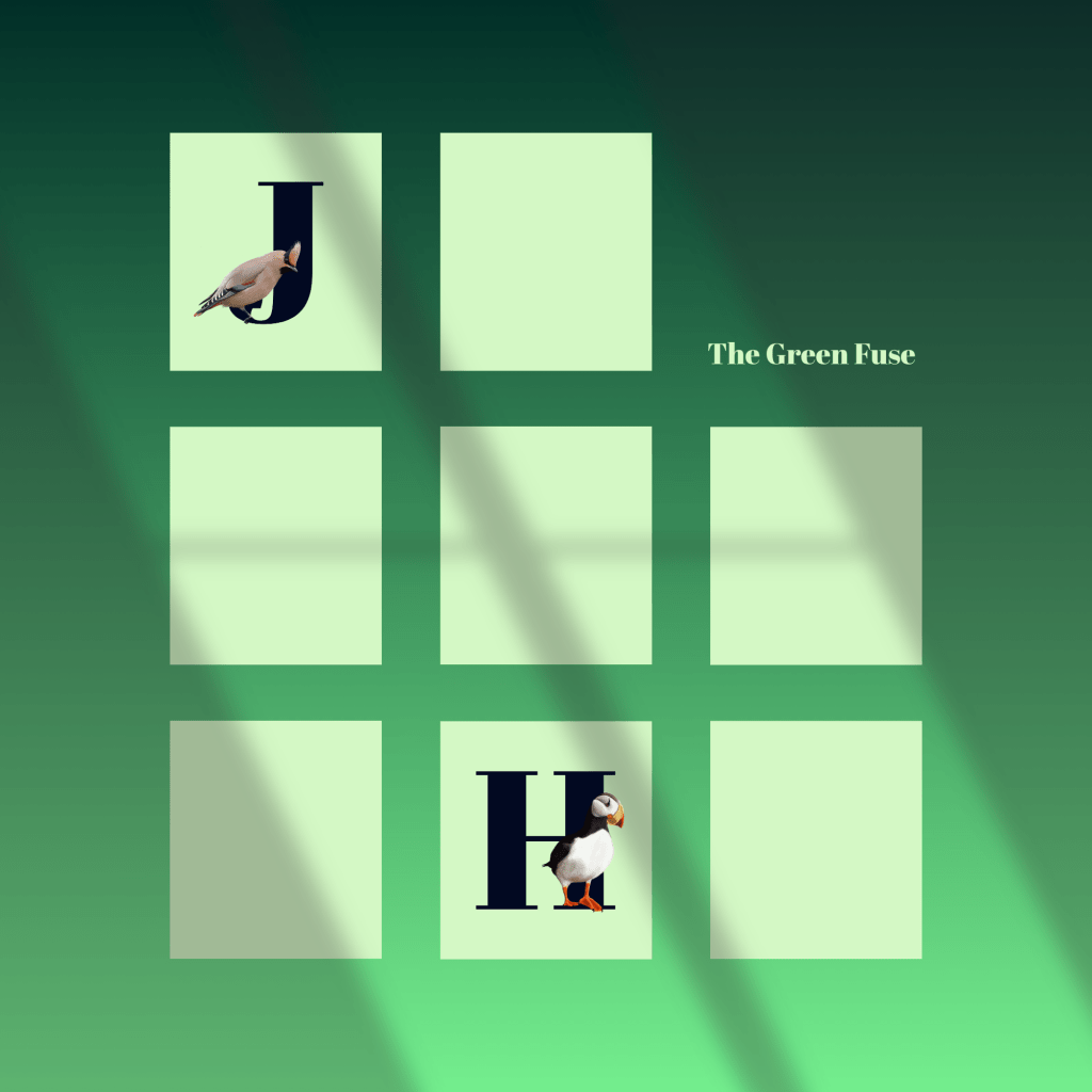 238. Album Review of The Green Fuse by Jon&nbsp;Hopper