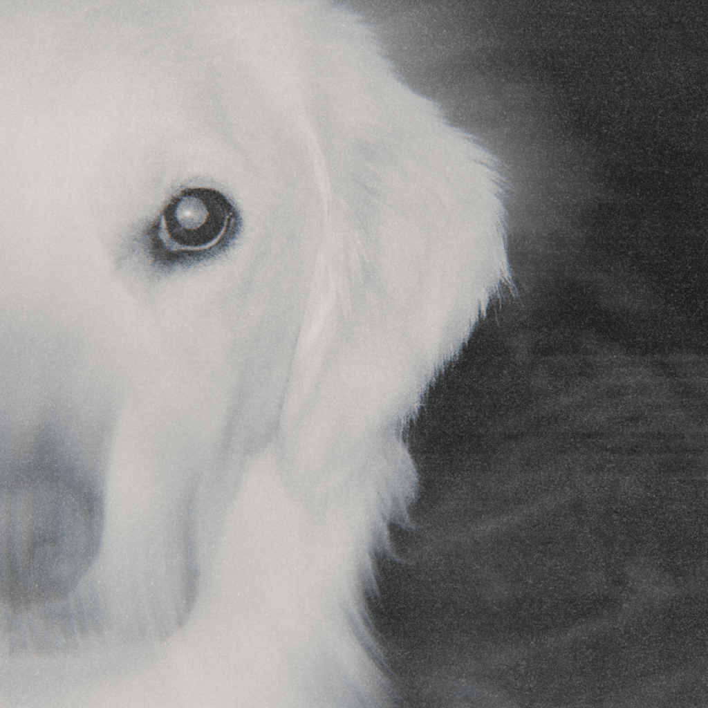 310. Following the Successful Release of Her Debut, Casual, Alaina May is Back with The Dog
